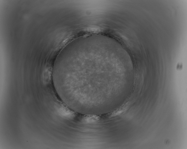 X0000091350576200708171434