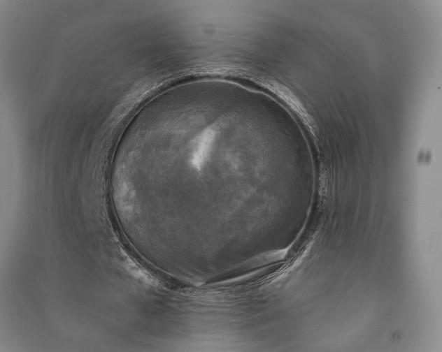 X0000091350577200708171433