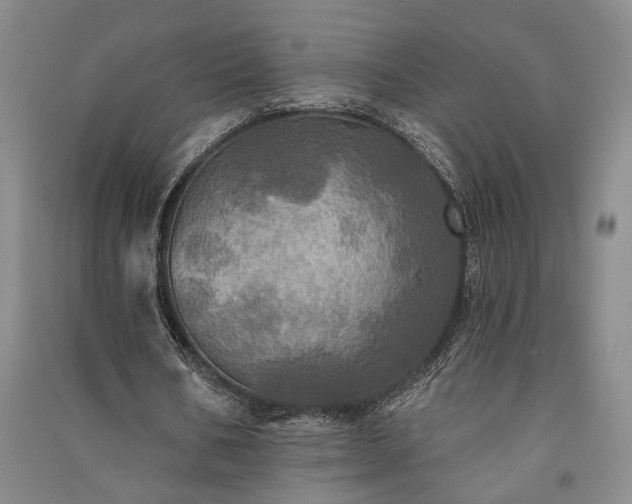 X0000091350578200708171433