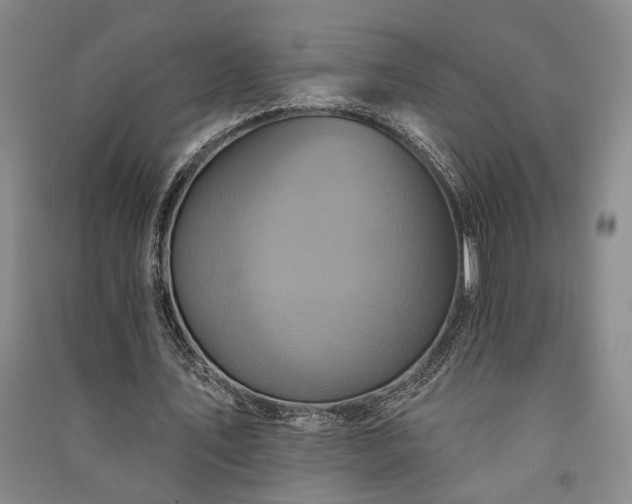 X0000091350579200708171433