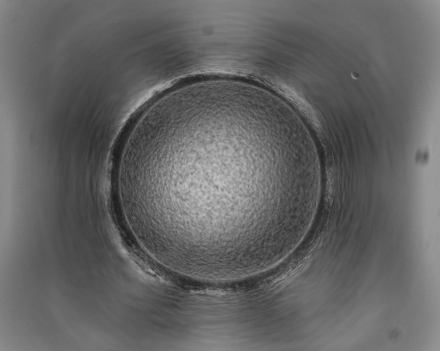 X0000091350580200708171433