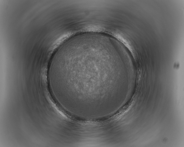 X0000091350581200708171433