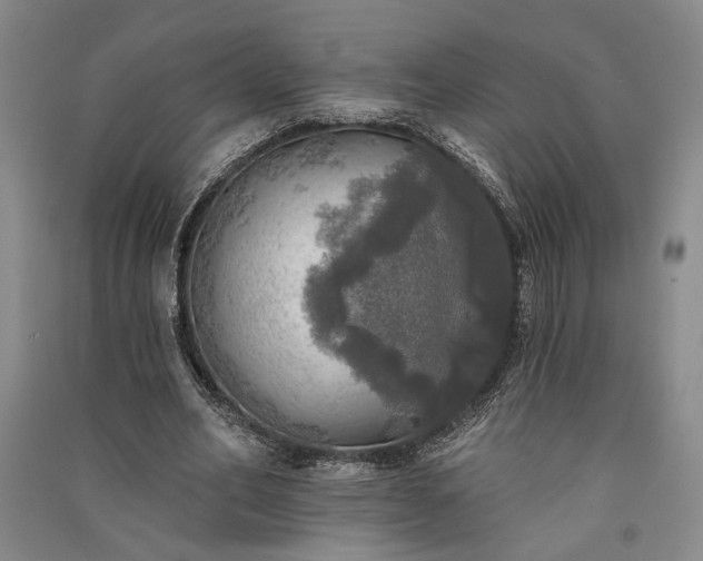 X0000091350582200708171433