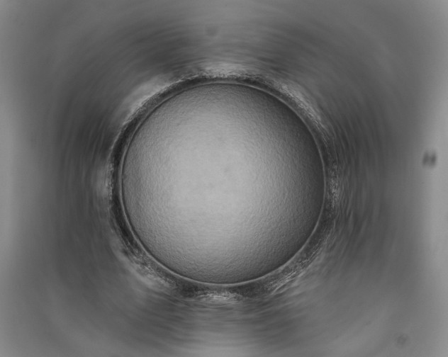 X0000091350583200708171433
