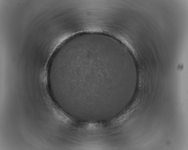 X0000091350584200708171433