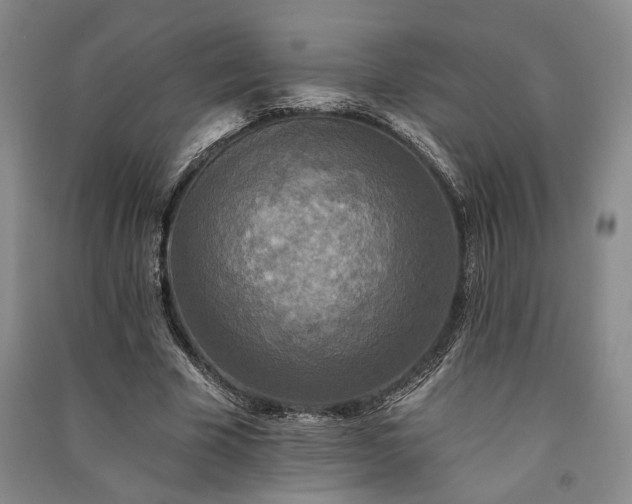 X0000091350585200708171433