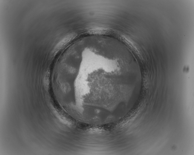 X0000091350586200708171433