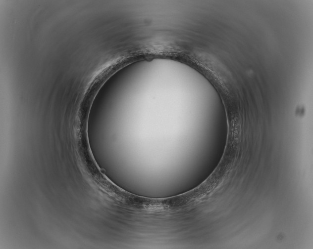 X0000091350587200708171433