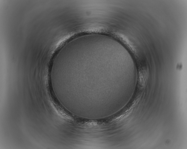 X0000091350588200708171433