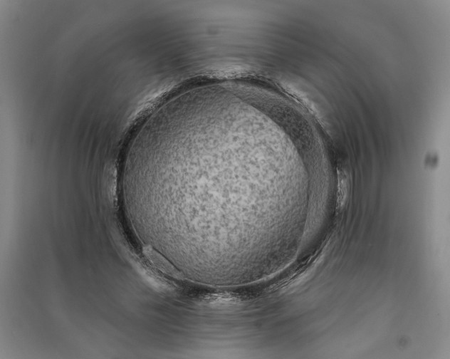 X0000091350589200708171433