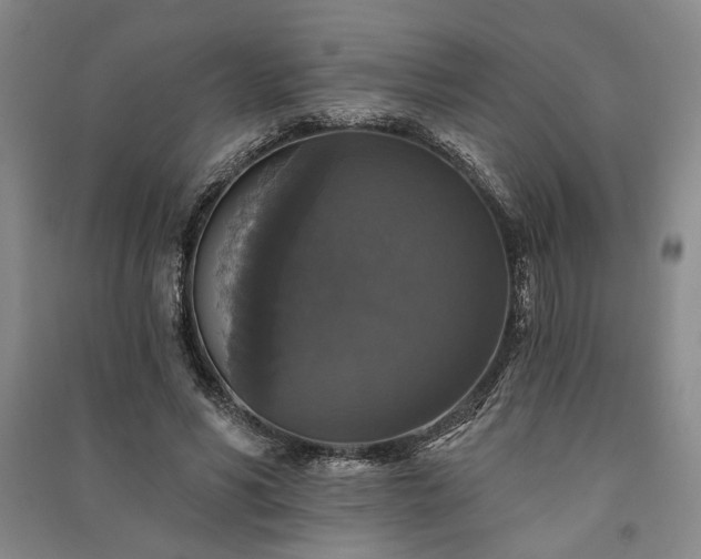 X0000091350590200708171433