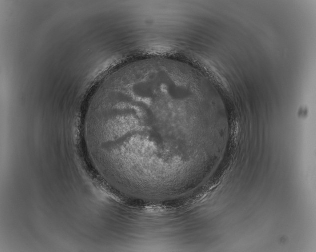 X0000091350591200708171433