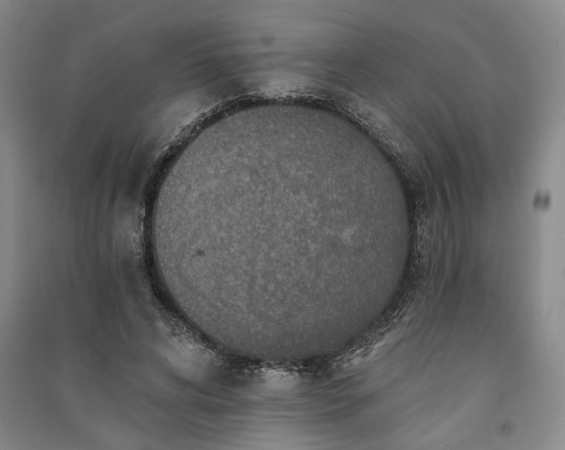 X0000091350592200708171433