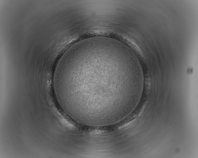 X0000091350593200708171433