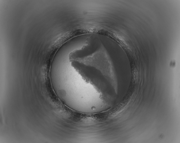 X0000091350594200708171433