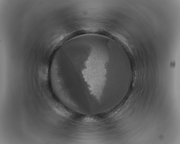X0000091350596200708171433