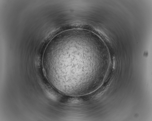 X0000091350597200708171433