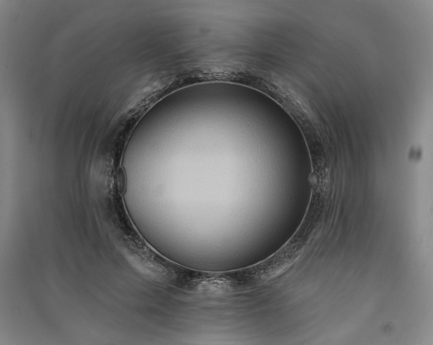 X0000091350599200708171433