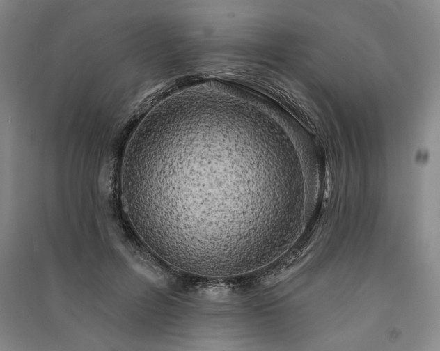 X0000091350600200708171433