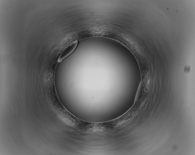 X0000091350601200708171433