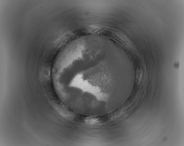X0000091350602200708171433