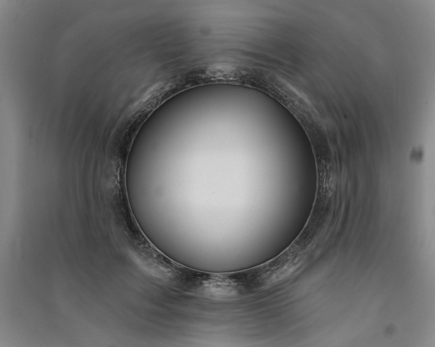 X0000091350603200708171433