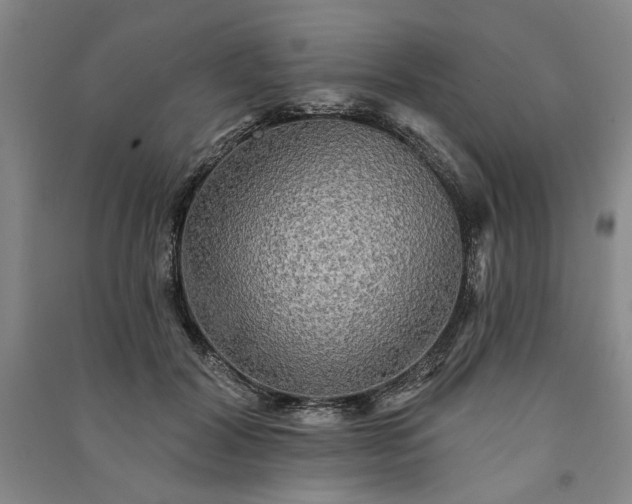 X0000091350604200708171433