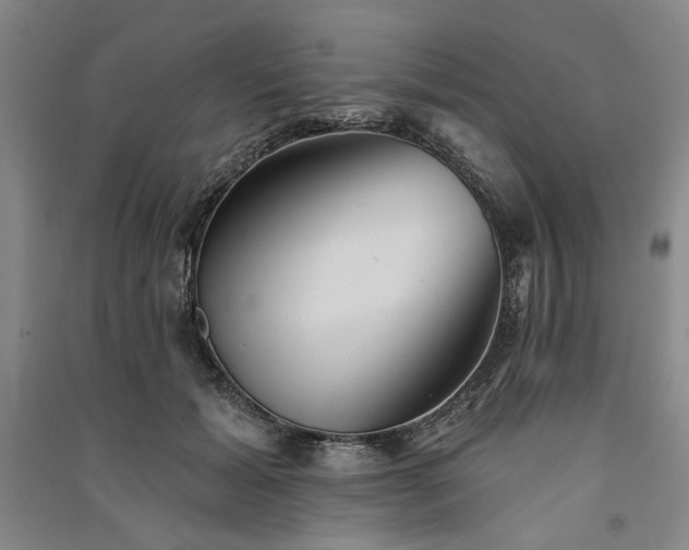 X0000091350605200708171433