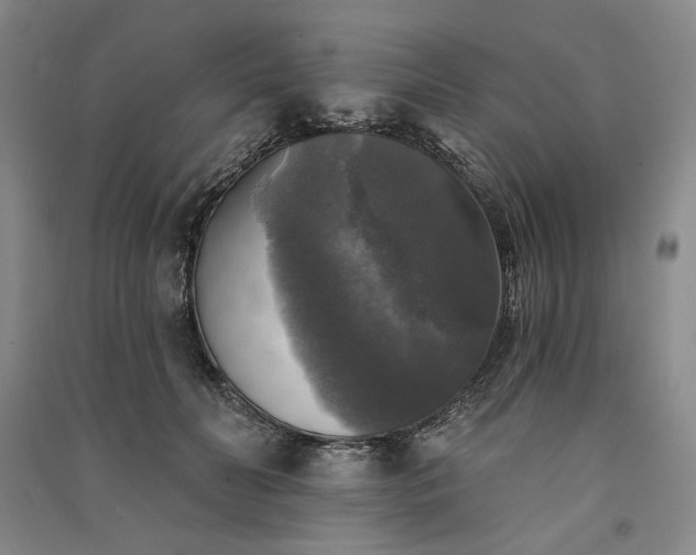 X0000091350606200708171433