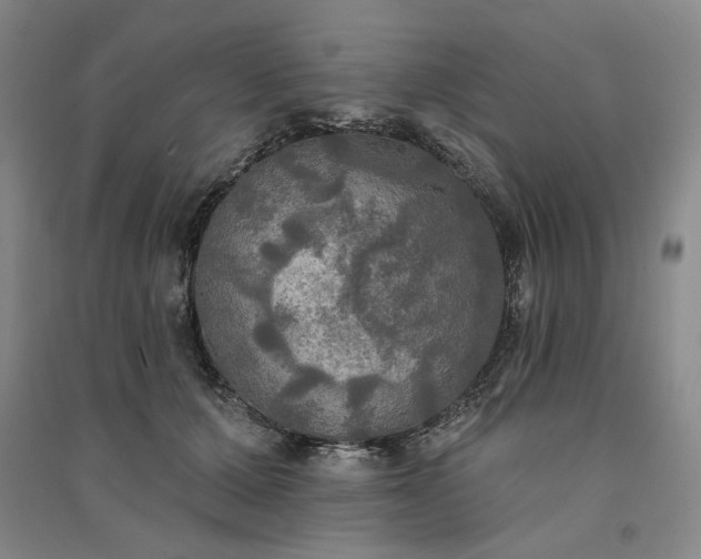 X0000091350607200708171433