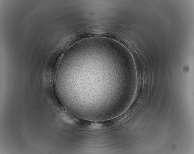 X0000091350609200708171433