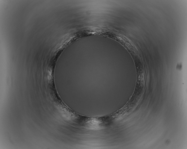 X0000091350610200708171433