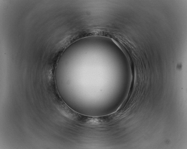 X0000091350611200708171433