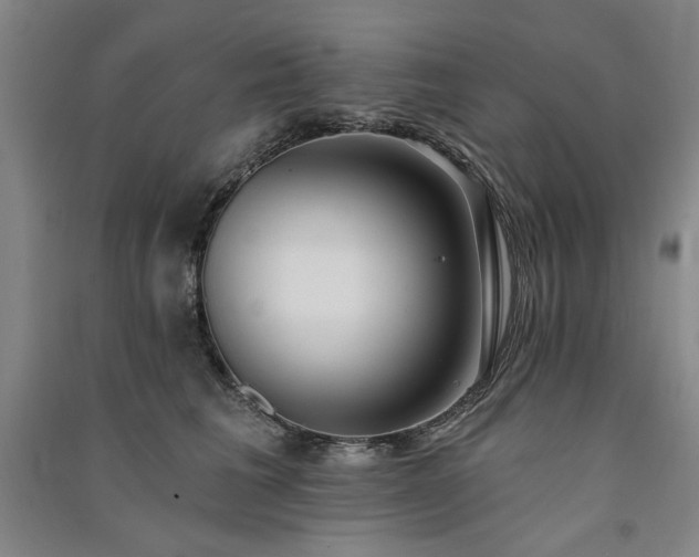 X0000091350613200708171433