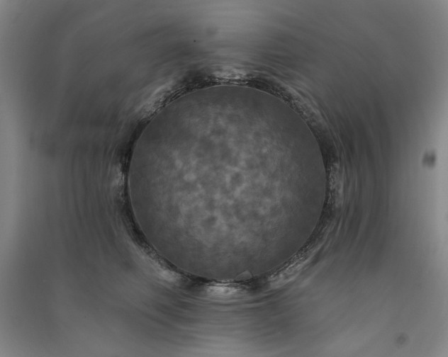 X0000091350614200708171433