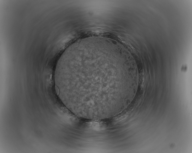 X0000091350615200708171433