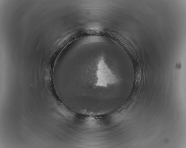 X0000091350616200708171433