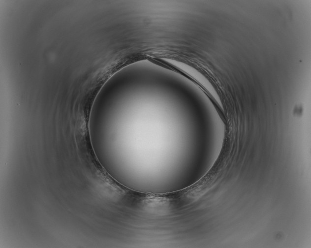 X0000091350617200708171433