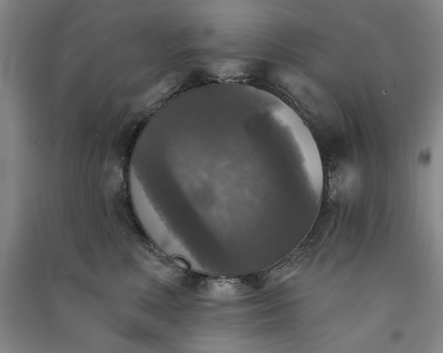 X0000091350618200708171433