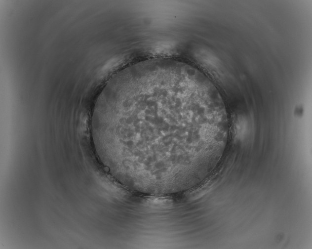 X0000091350619200708171433