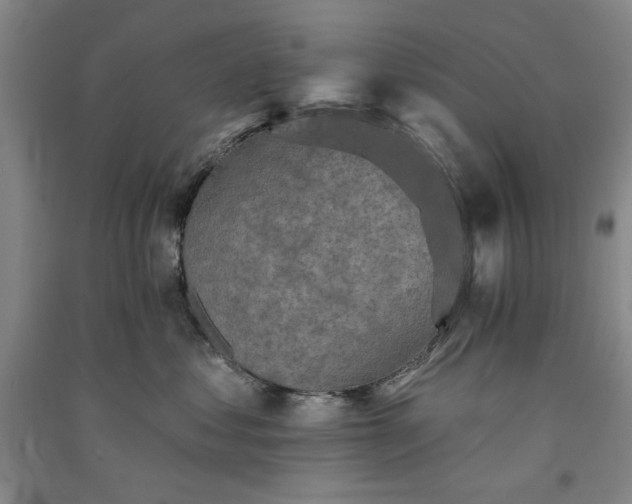 X0000091350621200708171432