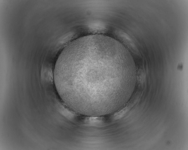 X0000091350622200708171432