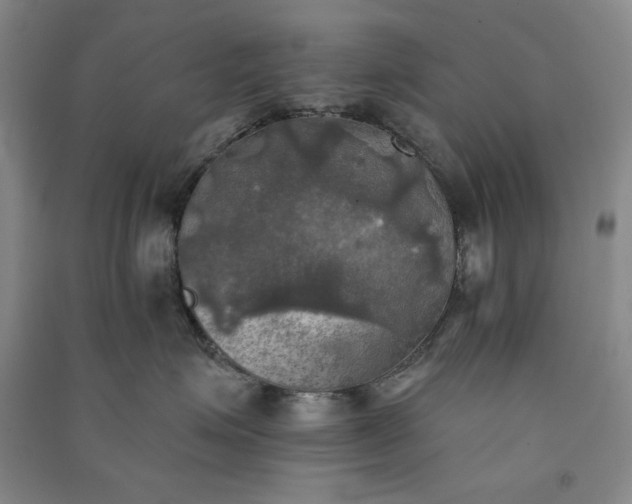 X0000091350623200708171432