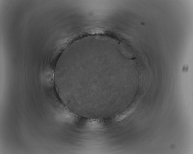 X0000091350624200708171432