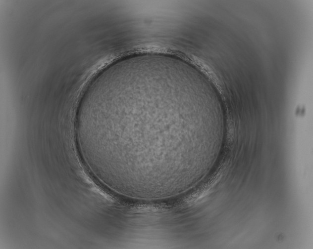 X0000091350625200708171432