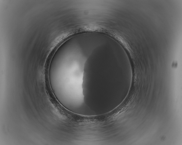 X0000091350626200708171432