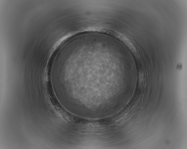 X0000091350628200708171432