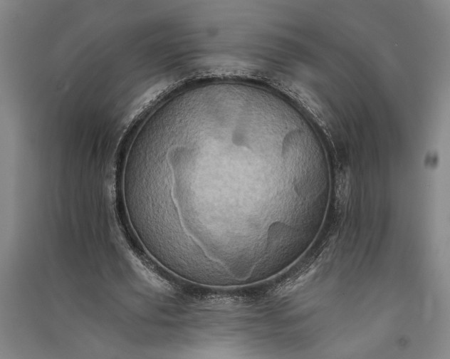 X0000091350629200708171432