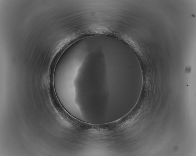 X0000091350630200708171432