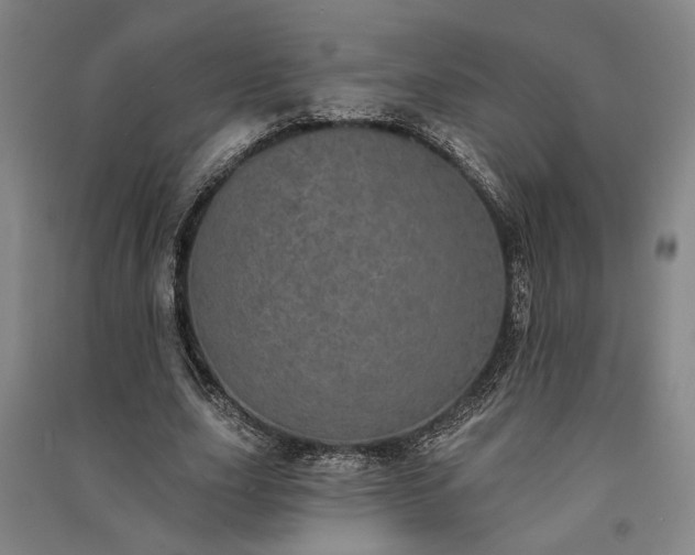X0000091350631200708171432